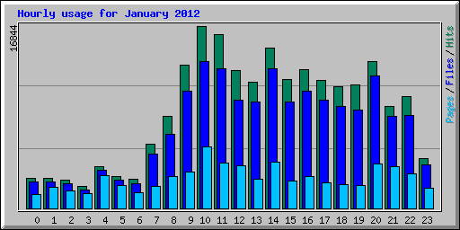 Hourly usage for January 2012