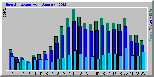 Hourly usage for January 2013