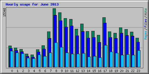 Hourly usage for June 2013