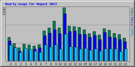 Hourly usage for August 2013
