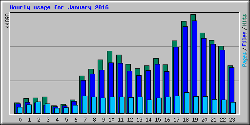 Hourly usage for January 2016