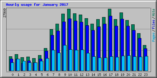 Hourly usage for January 2017