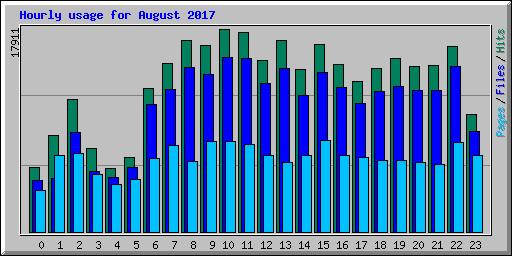 Hourly usage for August 2017