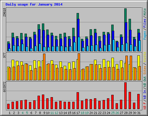 Daily usage for January 2014