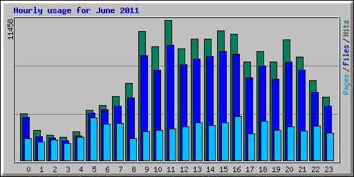 Hourly usage for June 2011